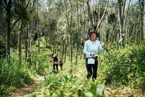 BIB: 
                            <button type="button" onclick="openModal(26293920)" class="btn btn-primary btn-sm float-right btn-popup" data-toggle="modal" data-target=".modal-high-quality">
                        <i class="fas fa-shopping-cart"></i> Add to Cart
                    </button>
                                            <button type="button" onclick="isThisMe(26293920, true)" class="btn btn-success btn-sm float-right btn-popup btn-isme hidden" data-toggle="tooltip" data-placement="bottom" title="นี่คือรูปของคุณใช่ไหม คลิกที่นี่เพื่อเอาเข้าอัลบั้ม">
                        <i class="fas fa-plus"></i> Add to album
                    </button>
                    <button type="button" onclick="isThisMe(26293920, false)" class="btn btn-warning btn-sm float-right btn-popup btn-isnotme hidden">
                        <i class="fas fa-ban"></i> Remove from album
                    </button>